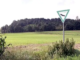 NSG Kleiner Selberg Nordseite