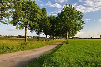 Weg durch die Nußlocher Wiesen