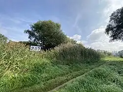 Mit Schilf umwachsenes Feuchtgebiet im Zentrum