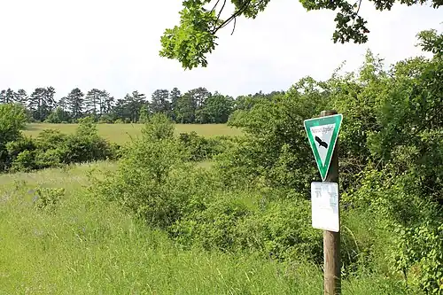 Brachenleite bei Tauberbischofsheim