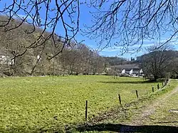 nordöstl. Bereich des NSG nahe Broich