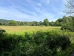 Großräumige Düsselaue