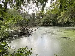 ehem. Fischteich östl. bei Hausmann