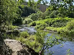 NSG Wupperschleife bei Beyenburg