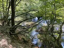 Wupperschleife bei Beyenburg