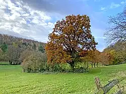 Bachtal bei Salzweg / Heierberg