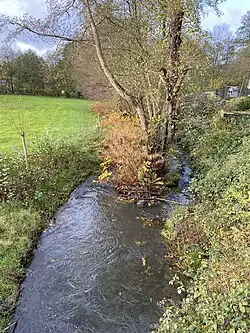 Sprockhöveler Bach am Salzweg