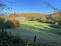 Mitte des NSG – Bach aus Weuste mündet in den Sprockhöveler Bach bei Wiggers