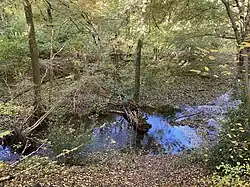 Hasper Bach am Fuß eines bewaldeten Hanges