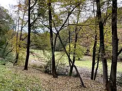 Ufergehölze begleiten den Hasper Bach