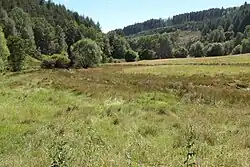 Eutergrund bei Bullau von Norden, links vom Bach der bayrische, rechts der hessische Teil (2024)