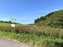 unterer, östl. Bereich der Feuchtwiese an der Straße nach Untersteinbach