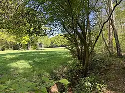 Fronnenbroicher Bach – westl. Grenze des NSG