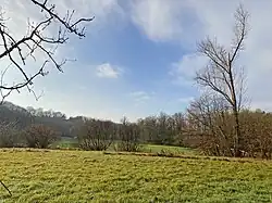 Landschaftsmosaik Balkener Feld