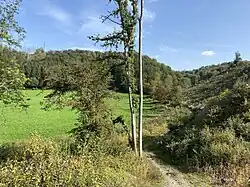 Unterer Hasselsiefen