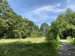 Abwechslungsreich – der Weg durch das NSG