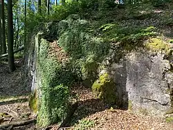 Kalksteinwand