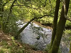 Wipper in der Nähe des Klärwerkes Marienheide