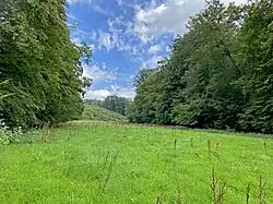 Große Auwiese im mittleren Harthbachtal