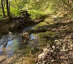 Spreeler Bach fließt am nördlichen Talhang