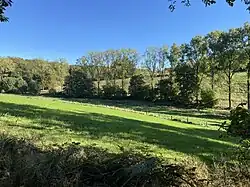 Beginn des NSG Brebachtal östl. der Hofschaft Brebach