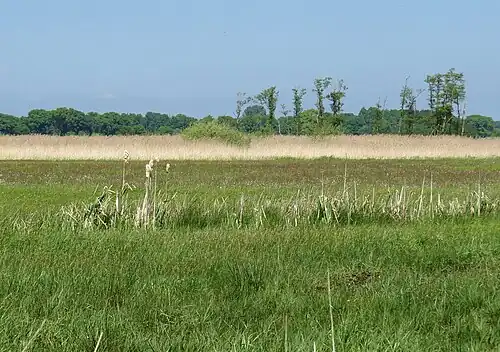 Fleinsee/Altluneberger See nördlich von Altluneberg