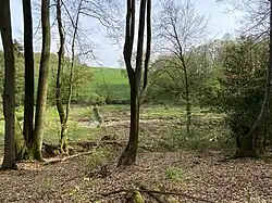 NSG im westlichen Teil (Wersbachtal)