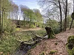 NSG im westlichen Teil (Wersbachtal)