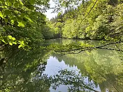 Unterer Stauteich im NSG