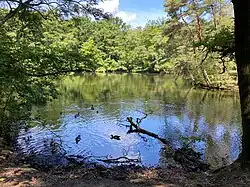 Stadtwaldteich – gespeist vom Hoxbach