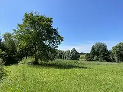 Hubbelrather Bachtal