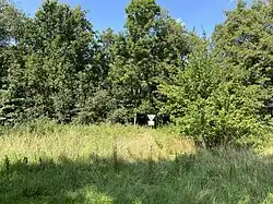 Streuobstwiese am NSG