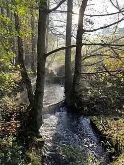 Deilbach am Deilbachweg (Brücke)
