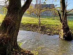 Deilbach wird von Ufergehölz gesäumt