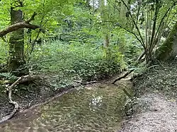 Sandiges Bachbett des Mahnerter Baches