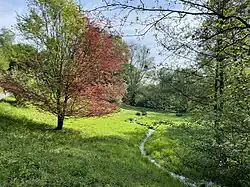 NSG Murmelbachtal in Marpe