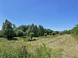 Grünlandbereich südlich Feste Zons