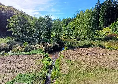 Omerbach vor der Staustufe