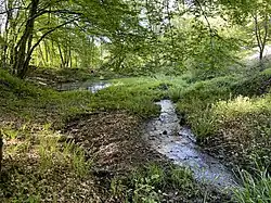 NSG Oelingrather Bachtal