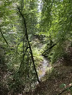 Oberlauf Purder Bach