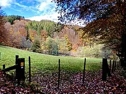 Blick ins Scheideweger Bachtal südl. Dörper Berg