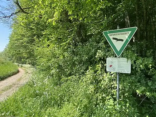 NSG Waldmeister-Buchenwald bei Rölenommer