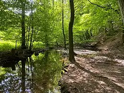Naturschutzgebiet Gelpe-Saalbach