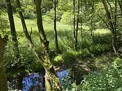 Feldbachtal am Mündungsgebiet in die Vorsperre