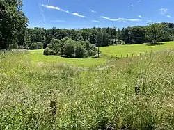 Oberes Feldbachtal - Wiesen um den Quellbereich des Repslöh Siepen