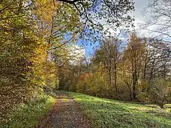 Bachtal der Kückesbeeke