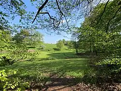 Isebecke durchfließt Nasswiesen