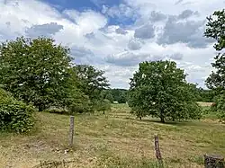 Alte Einzelbäume prägen die Nordseite