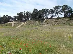 NSG Sandhausener Dünen Pferdstrieb Süd