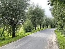 Kopfweiden säumen die Bruchhauser Straße